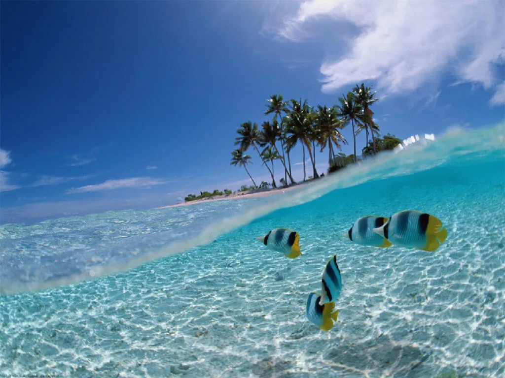 Het kristalheldere water bij Bunaken